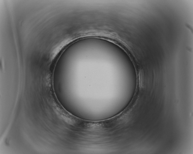 X0000103451501200809191735
