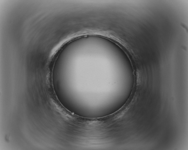 X0000103451502200809191735