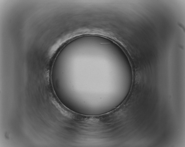 X0000103451503200809191735