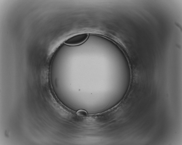 X0000103451504200809191735