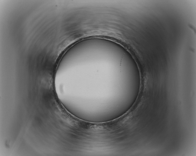 X0000103451505200809191735