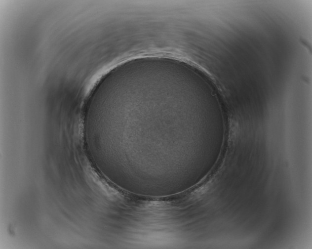 X0000103451506200809191735