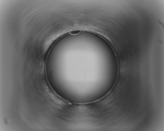 X0000103451507200809191735