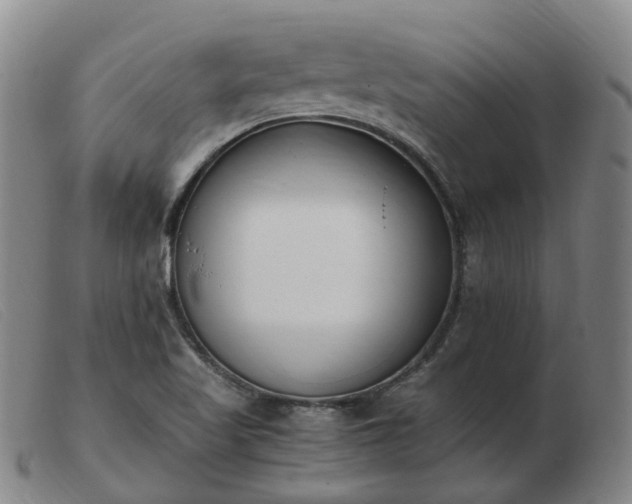 X0000103451509200809191735