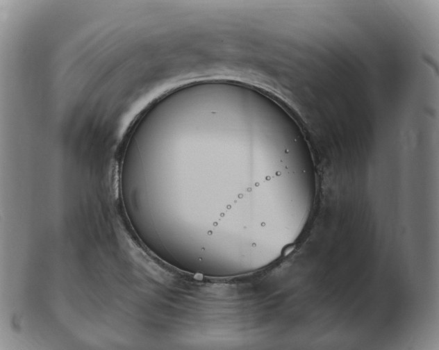 X0000103451510200809191735