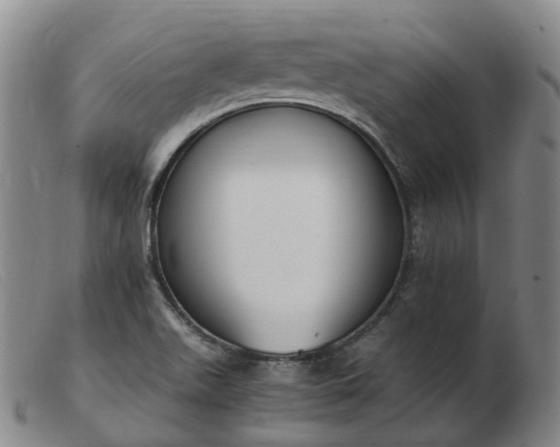 X0000103451511200809191735