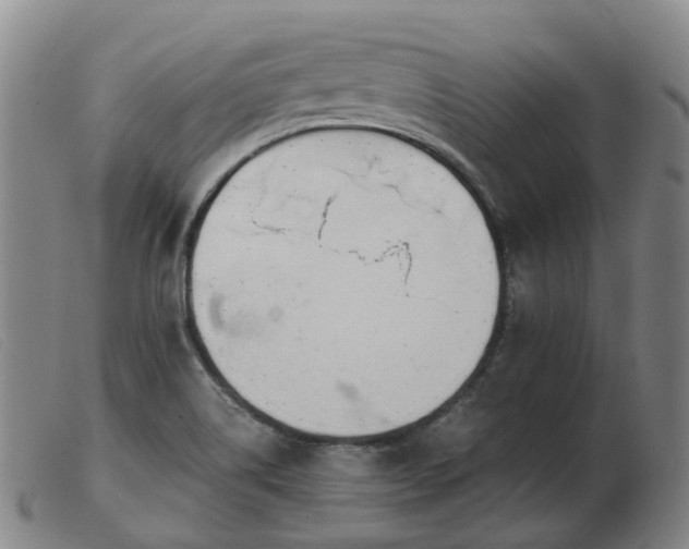 X0000103451514200809191736