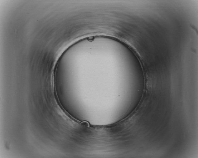 X0000103451516200809191736