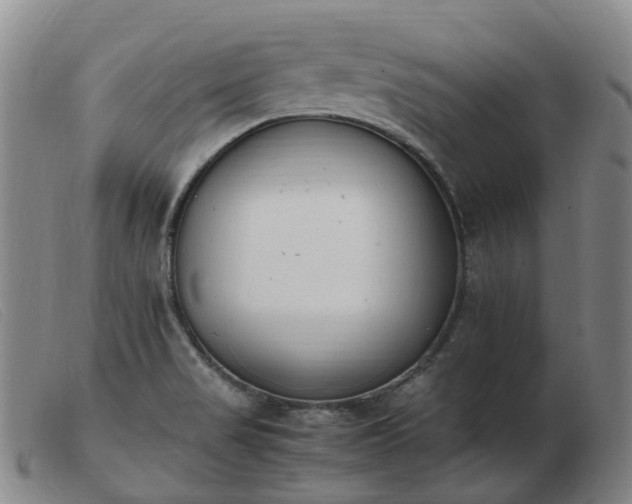 X0000103451517200809191736