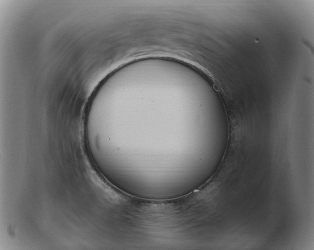 X0000103451518200809191736