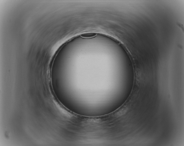 X0000103451519200809191736