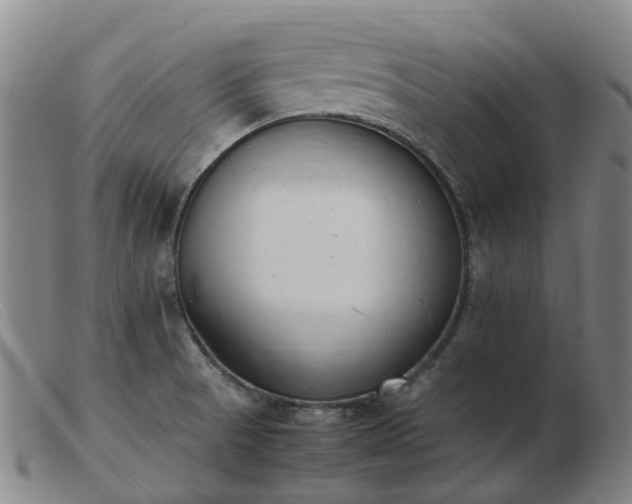 X0000103451521200809191736