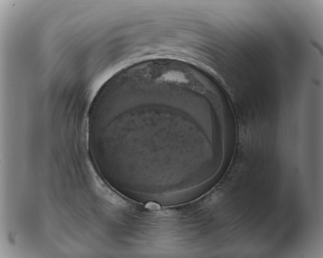 X0000103451522200809191736
