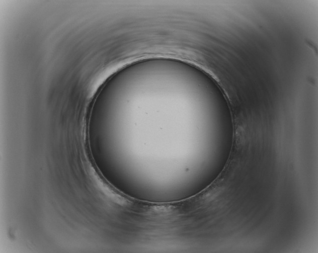 X0000103451523200809191736