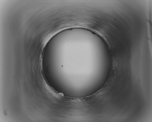X0000103451524200809191736
