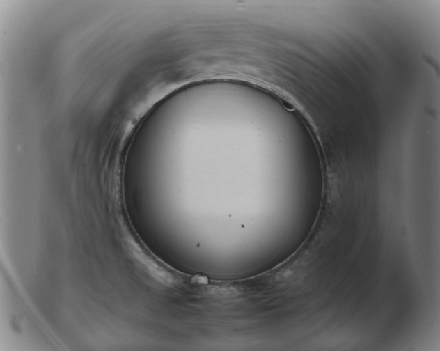X0000103451525200809191736
