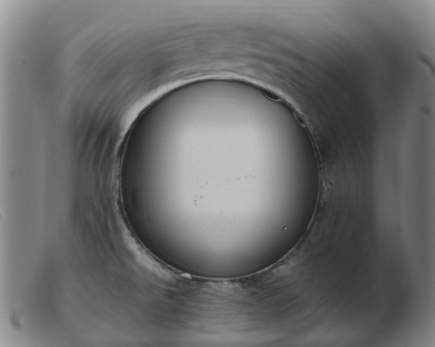 X0000103451526200809191736