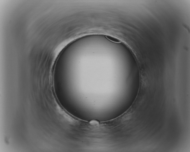 X0000103451527200809191736