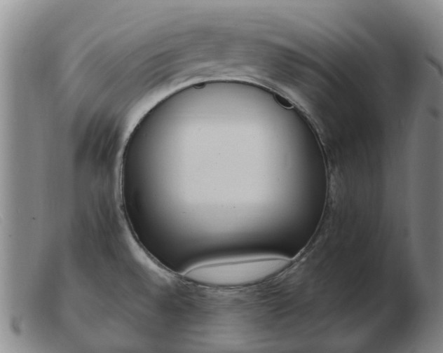 X0000103451528200809191736