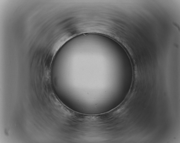 X0000103451529200809191736