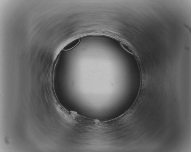 X0000103451530200809191736