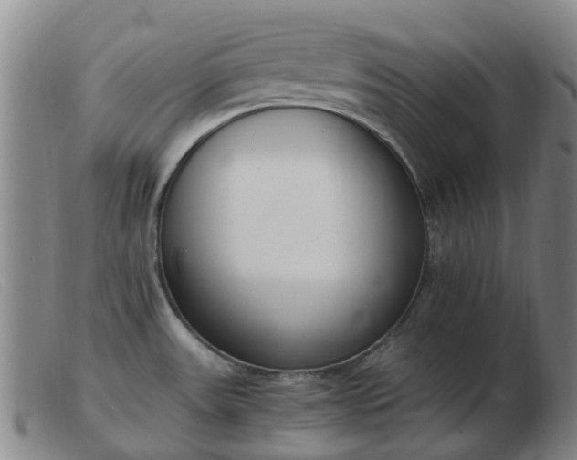 X0000103451531200809191736