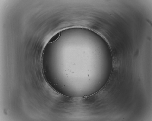 X0000103451532200809191736