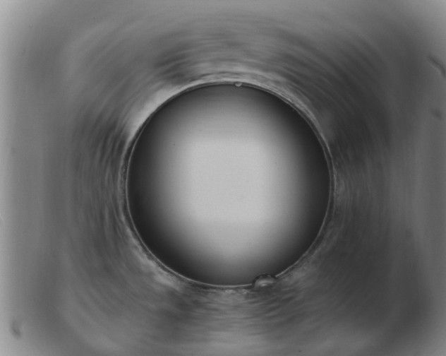 X0000103451533200809191736