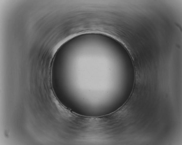 X0000103451534200809191736