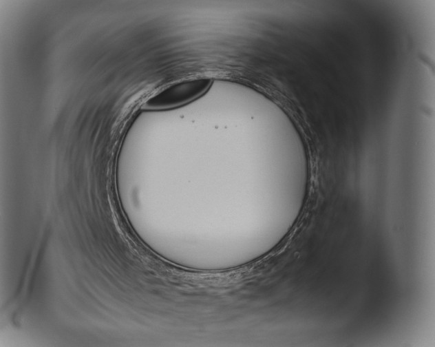 X0000103450001200809261828