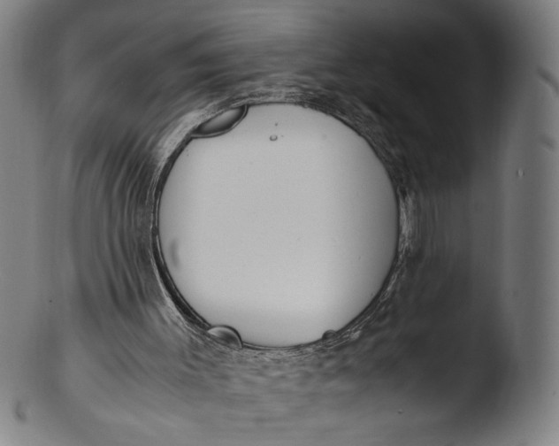 X0000103450003200809261828