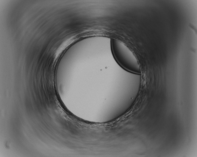 X0000103450004200809261828