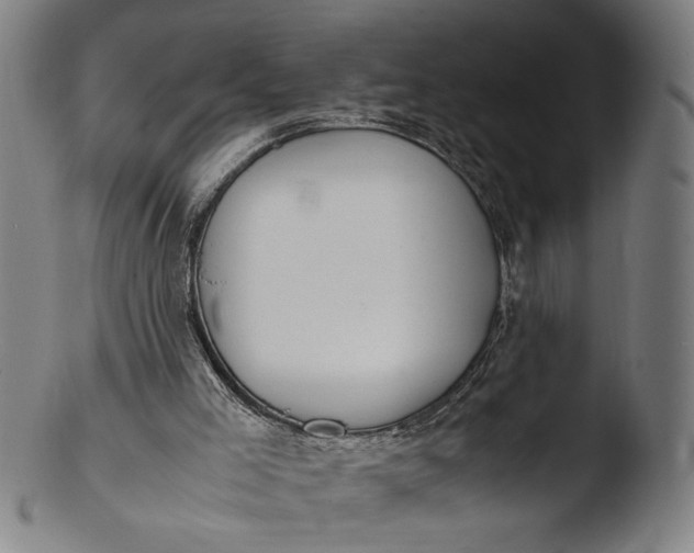 X0000103450005200809261828