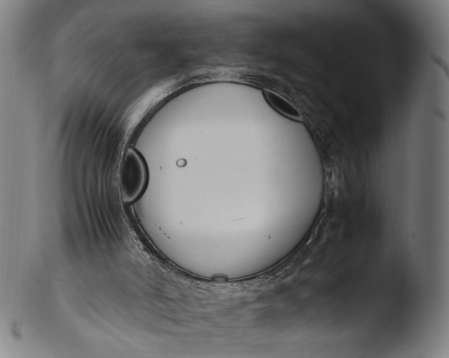 X0000103450006200809261827