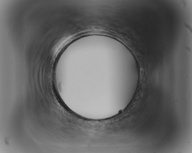 X0000103450007200809261827