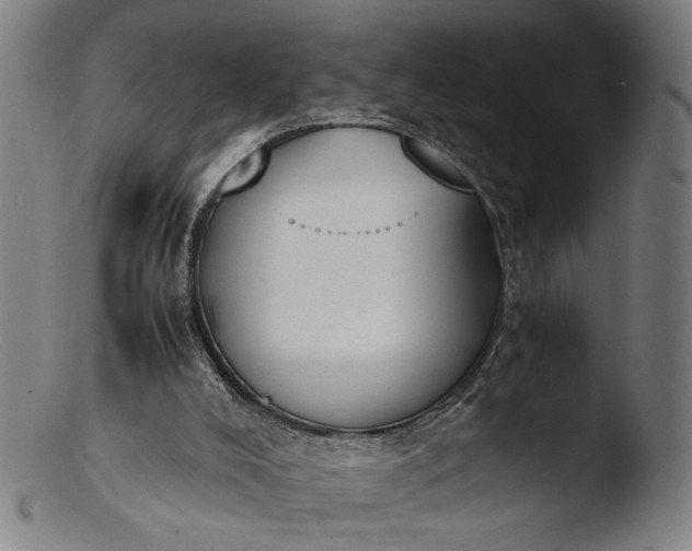 X0000103450008200809261827