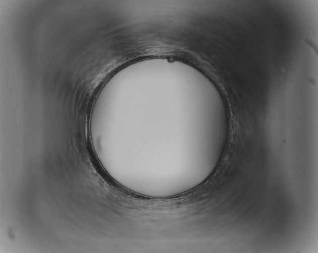 X0000103450011200809261827