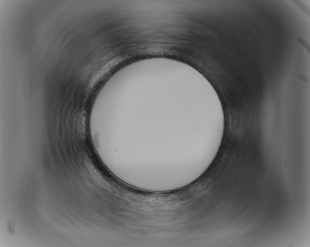 X0000103450016200809261827