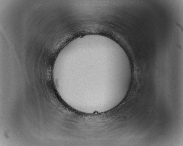 X0000103450017200809261827