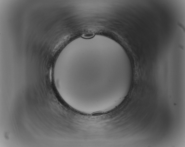 X0000103450019200809261827