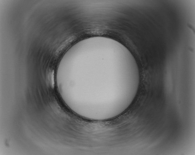 X0000103450020200809261827