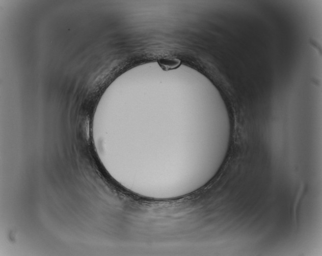 X0000103450021200809261827