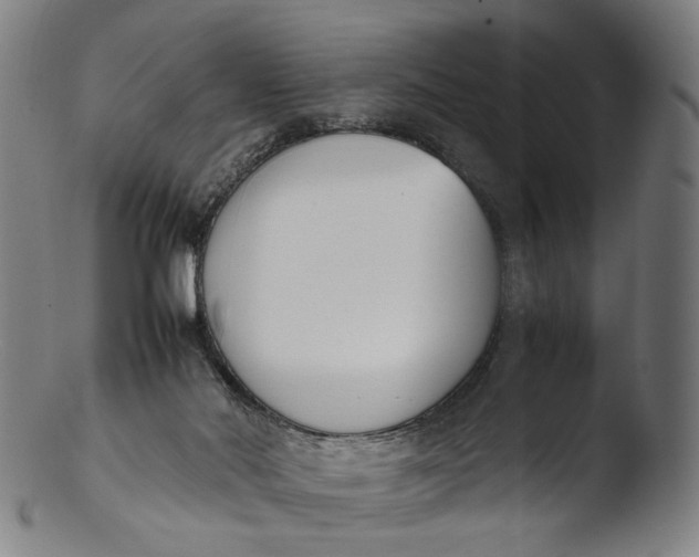 X0000103450022200809261827