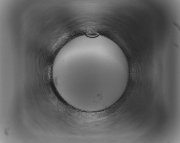 X0000103450023200809261827