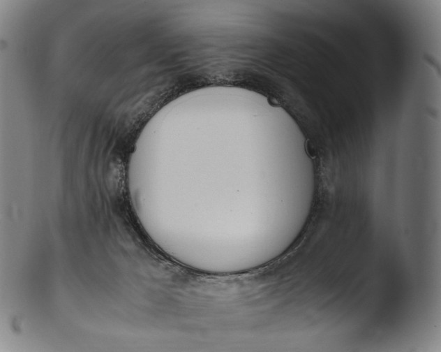 X0000103450029200809261827