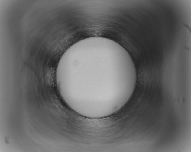 X0000103450030200809261827