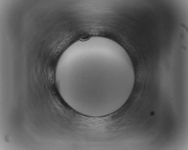 X0000103450031200809261827