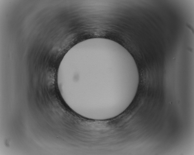 X0000103450032200809261827