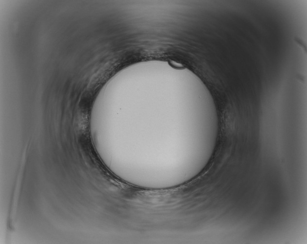 X0000103450033200809261827