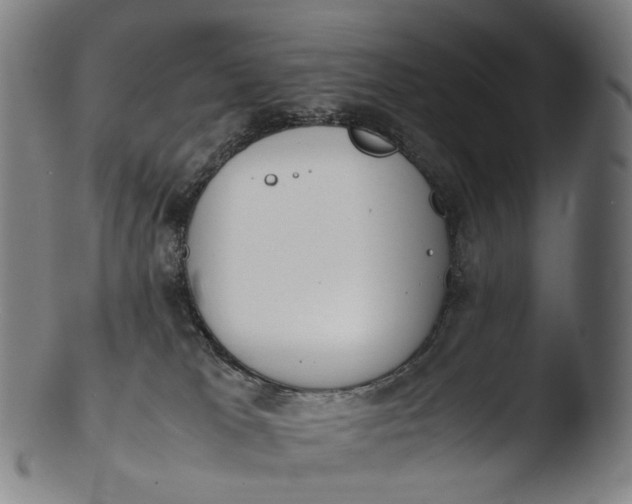 X0000103450037200809261827